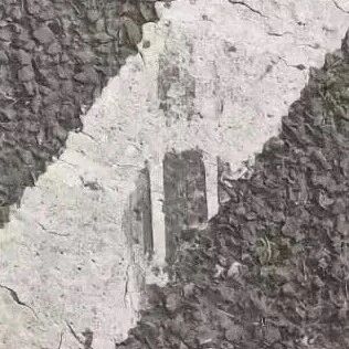 小车一倒，霉运就到！